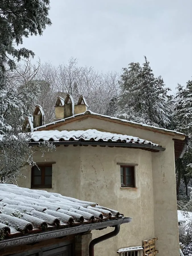 La Tana Del Grifo - Podere Amodeo Chiusi 0*,