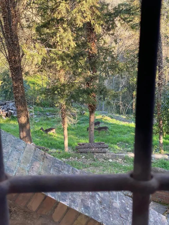 Country house La Tana Del Grifo - Podere Amodeo Chiusi Italy