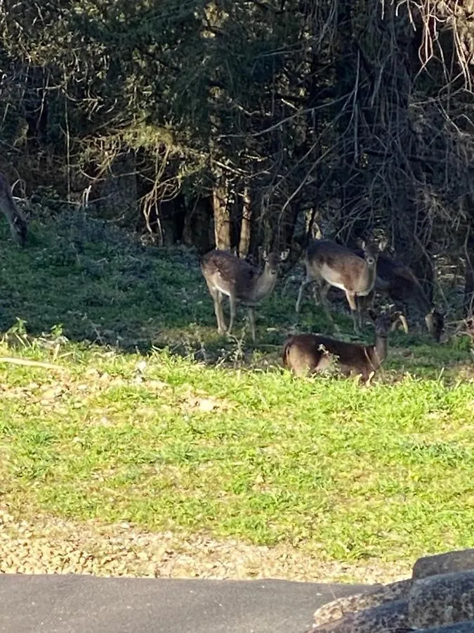 La Tana del Grifo - Podere Amodeo Chiusi Casa di campagna